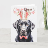 Black Labrador Dog in Bunny Ears for Easter