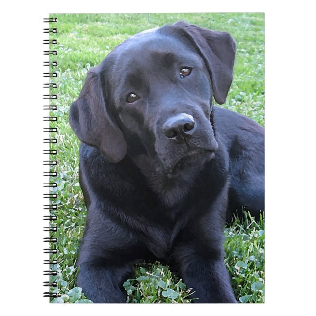 Black Labrador Dog Lover Puppy  Notebook (Front)