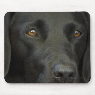 Black Labrador Dog Mouse Mat
