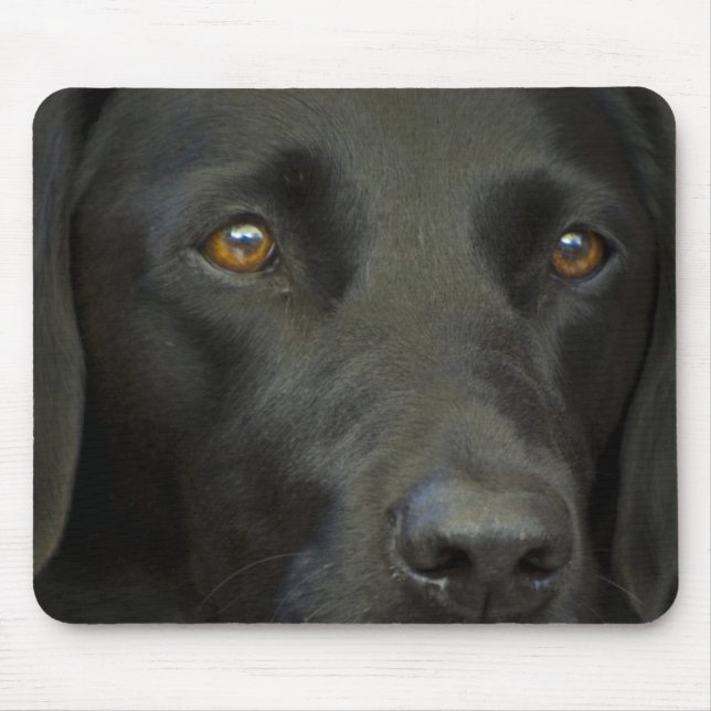 Black Labrador Dog Mouse Mat (Front)