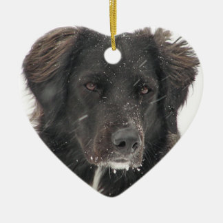 Black Labrador Dog Pet Photo Ceramic Tree Decoration