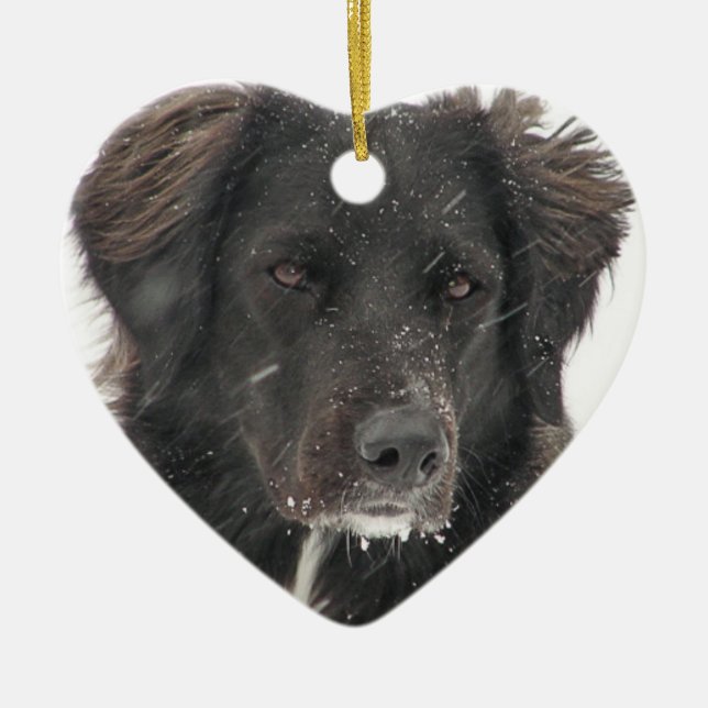Black Labrador Dog Pet Photo Ceramic Tree Decoration (Front)