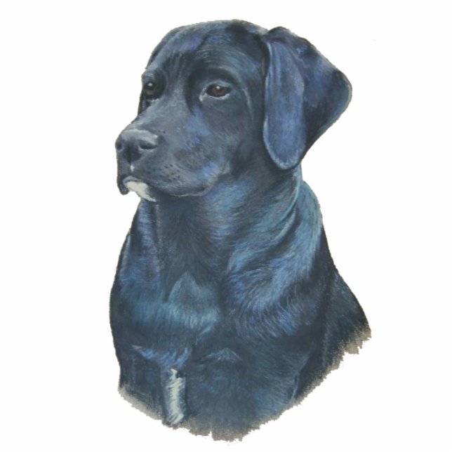 black labrador dog portrait original art photo sculpture key ring (Front)