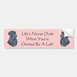 black labrador dog portrait slogan bumper sticker
