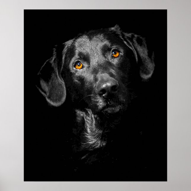 Black Labrador Dog Poster Canvas Print Inspiration (Front)