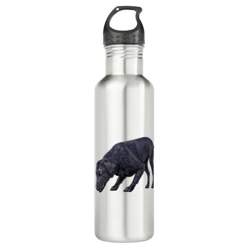 Image of Black Labrador Dog Sniffing the Ground 710 Ml Water Bottle
