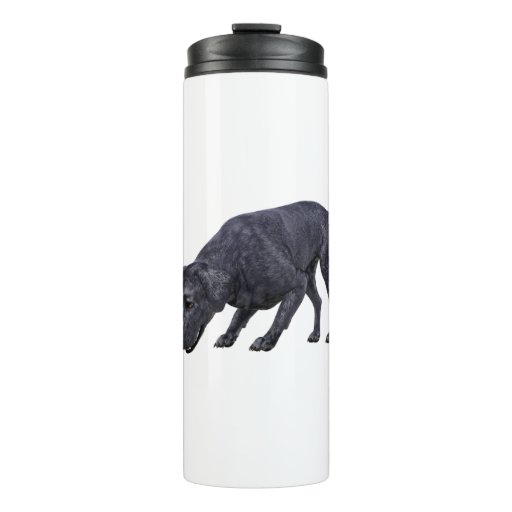Image of Black Labrador Dog Sniffing the Ground Thermal Tumbler