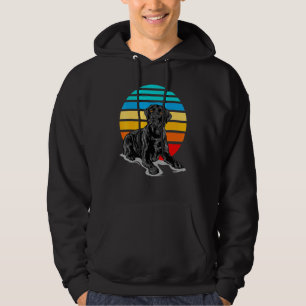 Black Labrador Dog Sunset Vintage Retro Style Blac Hoodie