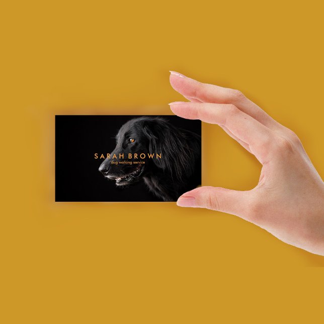 Black Labrador Dog Walker/Pet Sitter/Groomer Business Card (Black Labrador Dog Walker/Pet Sitter/Groomer Business Card)