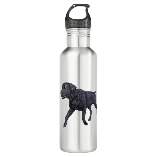 Image of Black Labrador Dog Walking 710 Ml Water Bottle