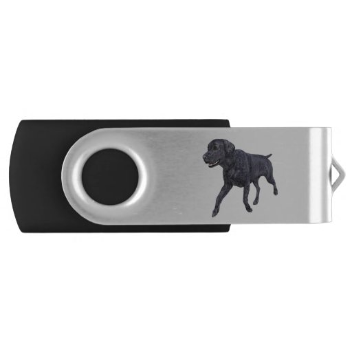 Image of Black Labrador Dog Walking Usb Flash Drive