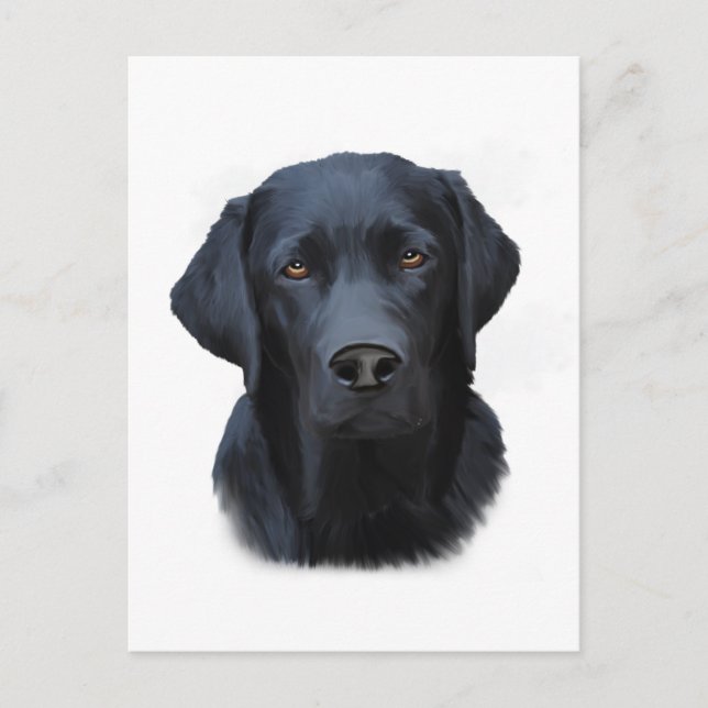 Black Labrador Dog Water Colour Art Painting Postcard (Front)