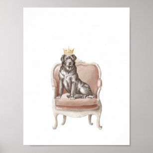 Black Labrador Dog Wearing Royal Crown Poster