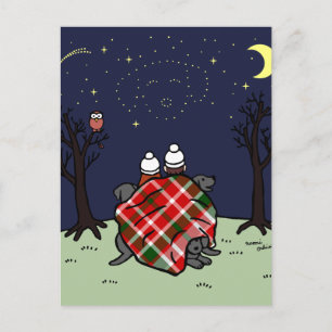 Black Labrador Family and Starry Sky Postcard