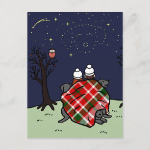 Black Labrador Family and Starry Sky Postcard
