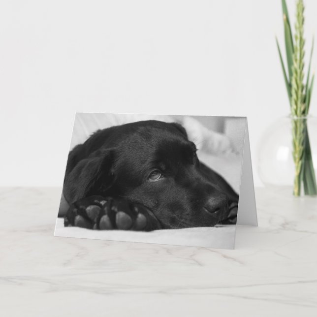 Black Labrador Get Well Card (Front)
