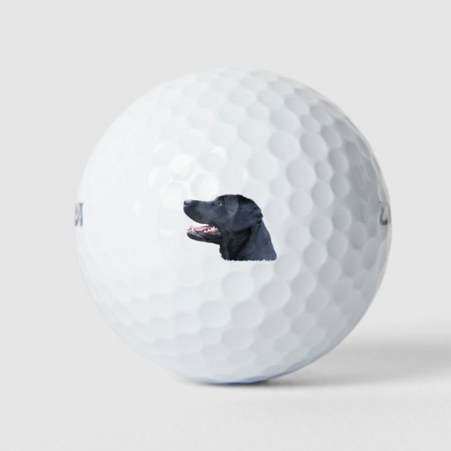Black Labrador Golf Balls (Front)