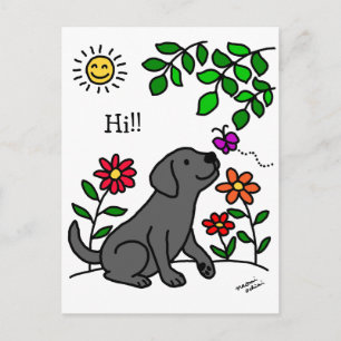 Black Labrador & Green Postcard