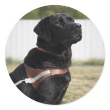 Black Labrador Guide Dog Graduation Envelope Seal