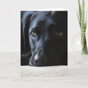 Black Labrador Holiday Card