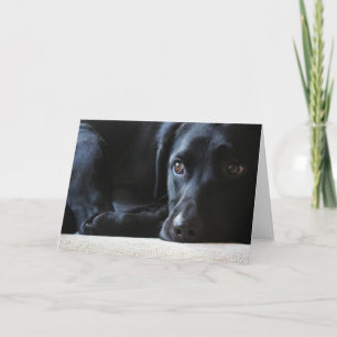 Black Labrador Holiday Card
