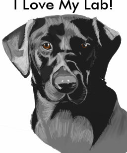 Black Short Haired Retriever Gifts Gift Ideas Zazzle Uk