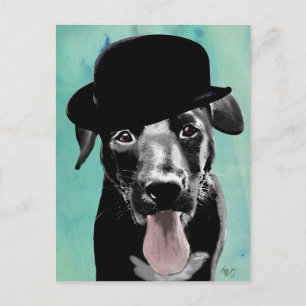 Black Labrador in Bowler Hat Postcard