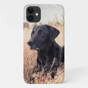 Black Labrador In Dry Grass iPhone 11 Case