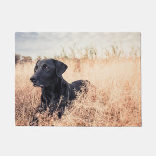 Black Labrador In Dry Grass Doormat