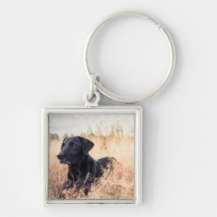 Black Labrador In Dry Grass Key Ring