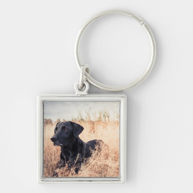 Black Labrador In Dry Grass Key Ring (Front)