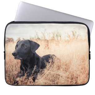 Black Labrador In Dry Grass Laptop Sleeve