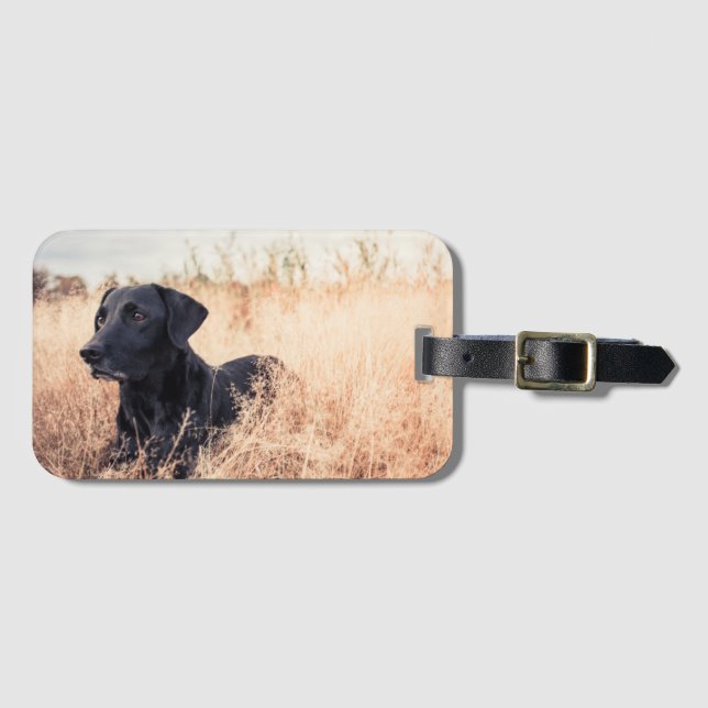 Black Labrador In Dry Grass Luggage Tag (Front Horizontal)