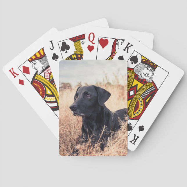 Black Labrador In Dry Grass Playing Cards (Back)