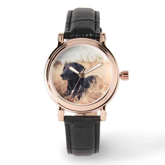 Black Labrador In Dry Grass Watch (Front)