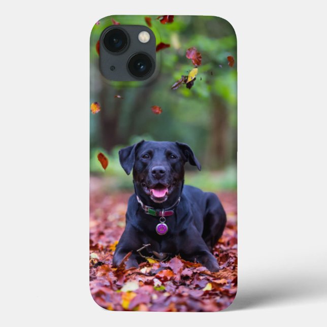 Black Labrador In Fall Leaves Case-Mate iPhone Case (Back)