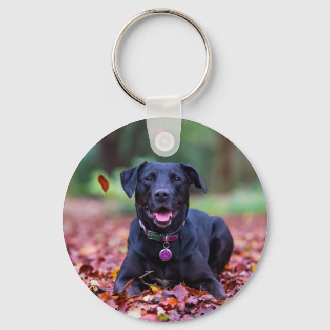 Black Labrador In Fall Leaves Key Ring (Front)