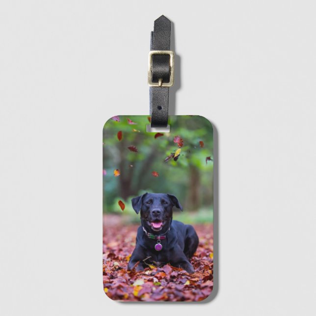 Black Labrador In Fall Leaves Luggage Tag (Front Vertical)
