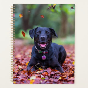 Black Labrador In Fall Leaves Planner
