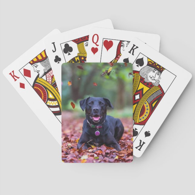 Black Labrador In Fall Leaves Playing Cards (Back)