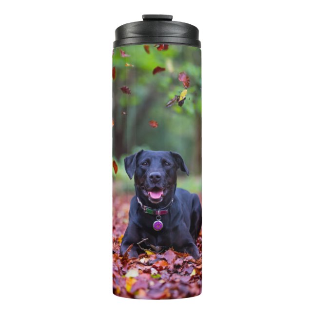 Black Labrador In Fall Leaves Thermal Tumbler (Front)