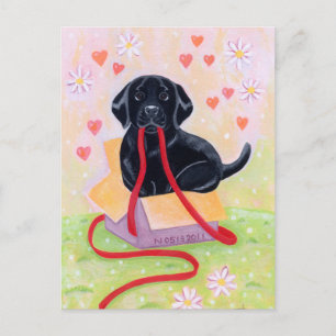 Black Labrador in the box Painting Postcard