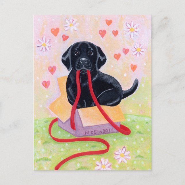 Black Labrador in the box Painting Postcard (Front)