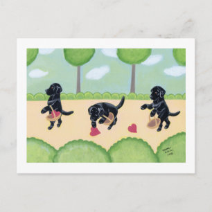 Black Labrador in the forest Postcard