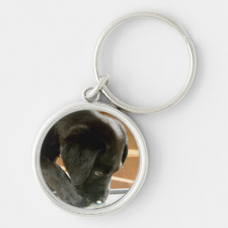 Black Labrador Key Chain