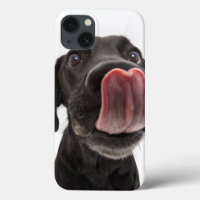 Black Labrador Licking Its Nose