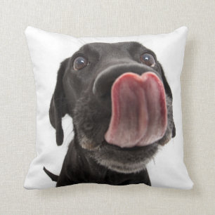 Black Labrador Licking Its Nose Cushion