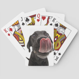 Black Labrador Licking Its Nose Playing Cards