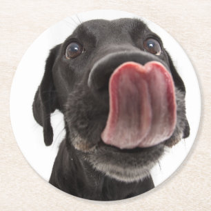Black Labrador Licking Its Nose Round Paper Coaster