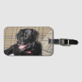 Black Labrador luggage tag with business card slot